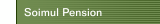 Soimul Pension